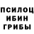 Галлюциногенные грибы Psilocybe Special Raptorz
