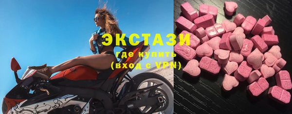 хмурый Аркадак