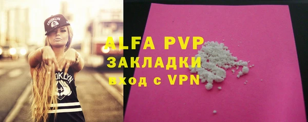 хмурый Аркадак