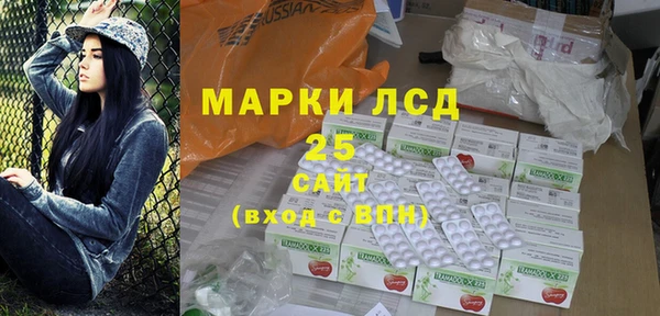 ГАЛЛЮЦИНОГЕННЫЕ ГРИБЫ Арсеньев