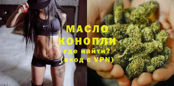 хмурый Аркадак