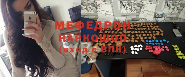 хмурый Аркадак