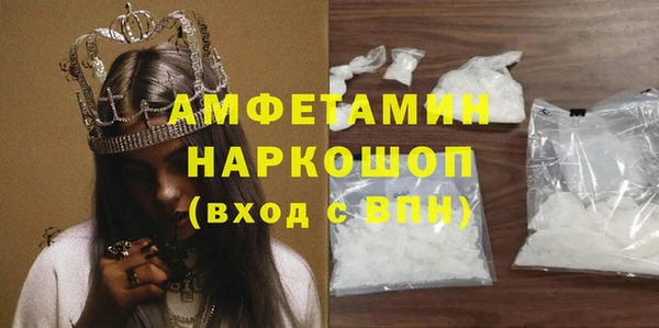 хмурый Аркадак