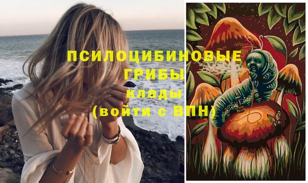 ГАЛЛЮЦИНОГЕННЫЕ ГРИБЫ Арсеньев