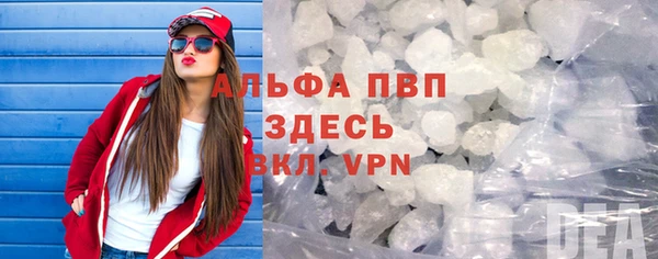 ПСИЛОЦИБИНОВЫЕ ГРИБЫ Елабуга