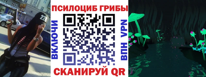 как найти закладки Петухово Псилоцибиновые грибы прущие грибы